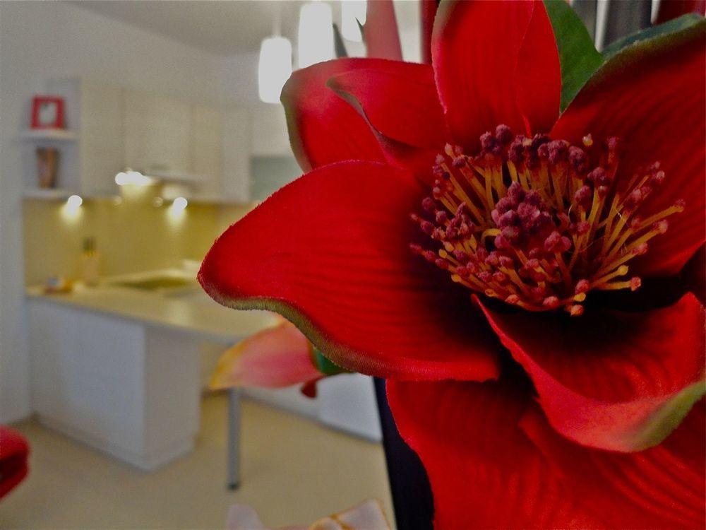 Apartamenty Aparts วูดช์ ภายนอก รูปภาพ